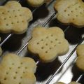 shibainu1's cooksnap of when they made サクサク☆ミルキークッキー.