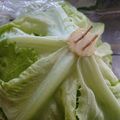 まいちー☆★'s cooksnap of when they made レタスの保存方法.