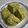 クックGB6431☆'s cooksnap of when they made HMで簡単！ほうじ茶香る焼き芋スコーン.