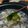 湊ひぃろ's cooksnap of when they made 旬の味＊生わかめと春菊のしゃぶしゃぶ.
