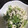 shoyshoy's cooksnap of when they made 小鉢に♪三つ葉とささみの和えもの。.