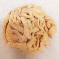とみこシェフ's cooksnap of when they made 超簡単もちもち手打ち生パスタ★マシン無.