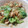 クックM5IJW5☆'s cooksnap of when they made ホタテとレタスのオイスターソース炒め.