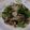 Ocean_ray's cooksnap of when they made きのこと野菜のみぞれ和え.
