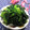 miyuki12's cooksnap of when they made ほうれん草の黒ゴマ和え.