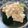 Eire's cooksnap of when they made ブロッコリーのタルタルサラダ.