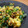 マミマミマー's cooksnap of when they made にら玉納豆和え.