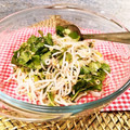 ＮＦＲの南仏キッチン's cooksnap of when they made 豆もやしとパクチーのタイ風サラダ.
