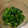 たらららーん's cooksnap of when they made 菜の花 からし和え.