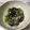 びえクック's cooksnap of when they made パスタの梅しらす和え.