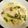 ざりがにサラダ's cooksnap of when they made 鶏肉のワインクリーム煮.