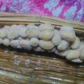クックXHD8TT☆'s cooksnap of when they made 簡単！自家製藁納豆.