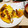 クックNF70WW☆'s cooksnap of when they made きのこのとろ～りチーズオムレツ☆.