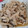 のりのんち's cooksnap of when they made きのこの生姜煮….
