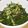 ﾋﾟﾛﾐ♡'s cooksnap of when they made わかめのおつまみ。にんにく！ごま油！.