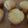 すももとはな's cooksnap of when they made はちみつバターマフィン.