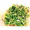 aopiii's cooksnap of when they made Ｂ−カロテン豊富♪豆苗とハムの中華サラダ.