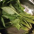 きょとん's cooksnap of when they made 短時間で☆ほうれん草のおひたし.