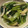 Eire's cooksnap of when they made 小松菜とブナシメジと油揚げの白だし煮.