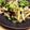risamoya's cooksnap of when they made 超簡単 ブロッコリーと豚コマ炒め.