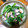 ぴょぬさ's cooksnap of when they made 簡単*シンプル♪あさりと菜の花の酒蒸し.