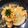 △▽食いしんぼう△▽'s cooksnap of when they made 大根のそぼろあんかけ.