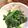 マアココ's cooksnap of when they made ほうれん草のお浸し柚子風味.