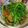 ゆえびび's cooksnap of when they made なすと納豆の甘辛にんにく炒め.