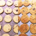 ぽん♫'s cooksnap of when they made 簡単美味しい☆チョコチップクッキー☆.