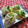 miyuki12's cooksnap of when they made おから大根餅のネギおやき梅ソース.