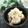Dellaたん's cooksnap of when they made 大根とツナの炒め物★使い切り1/4本分.