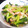choco831's cooksnap of when they made ほうれん草とベーコンのマーガリン炒め.