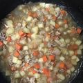 クックQ135WY☆'s cooksnap of when they made 幼児食♡1歳・2歳の肉じゃが作り置き.