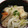 まくのうち's cooksnap of when they made 秘伝☆我が家に伝わるきりたんぽ鍋.