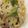 おそおそ男's cooksnap of when they made わさポーク（豚のわさび焼き）丼、弁当にも.