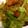 はに333's cooksnap of when they made 簡単！もやしウィンナーカレーソテー.