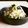 kebeibiko's cooksnap of when they made 大根とネギの中華サラダ.