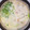 封印再度's cooksnap of when they made あったか　とろとろ　豆乳鍋.