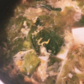 CS555's cooksnap of when they made 中華風豆腐と椎茸のふわふわ卵レタススープ.