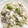 ちゅんたい's cooksnap of when they made 超簡単！激うま♪枝豆と豆腐のほぐし和え.