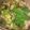 ちゃちゃ２３'s cooksnap of when they made 博多発！野菜いっぱい簡単もつ鍋♪.