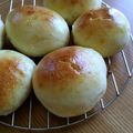 みか721's cooksnap of when they made ほんわり、クリームパン！.
