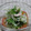 ペペロンシーロ's cooksnap of when they made ささみと三つ葉と大根のわさびマヨあえ.