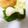 そらてんママ's cooksnap of when they made ソイマヨ（温野菜に）.