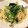 コロコロシーズー's cooksnap of when they made 旨味たっぷりの小松菜と桜エビのパスタ.