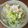 午前の麦茶's cooksnap of when they made 材料２つ☆白ネギで豚しゃぶ☆はりはり鍋風.