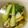 はるはるへ's cooksnap of when they made チンゲン菜のおかずスープ.