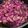 りりゆぅ's cooksnap of when they made Pork Gulasch / ドイツ料理.
