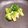 ekokan's cooksnap of when they made お弁当の隙間に！5分でブロッコリーマヨ.