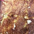 クックSM444J☆'s cooksnap of when they made 炊飯器でカステラ風おからケーキ.